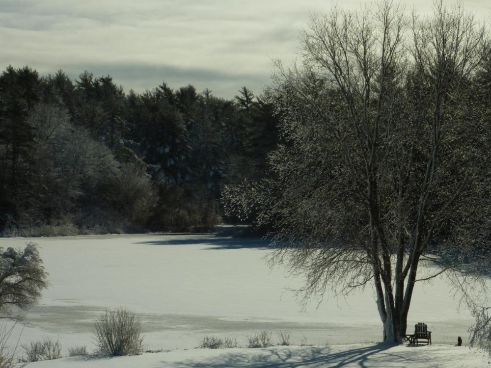 On Cranberry Pond Bed and Breakfast Image 10