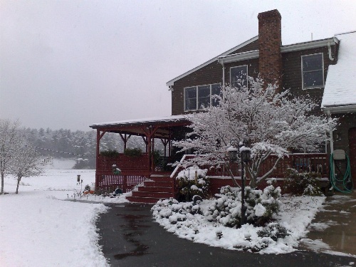 On Cranberry Pond Bed and Breakfast image 2