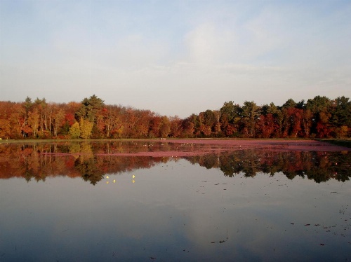 On Cranberry Pond Bed and Breakfast image 4